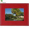 Parrot Photo Viewer 7 inch Cardinal Red