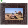 Parrot Photo Viewer 7 inch Coffee Salamander