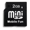 Mini Secure Digital Card miniSD 2GB