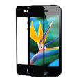 Moshi iVisor AG Anti Glare Screen Protector for iPhone 5 - Black