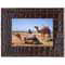 Parrot Photo Frames