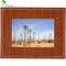 Parrot Photo Viewer 7 inch - Sunset Salamander image