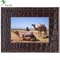 Parrot Photo Viewer 7 inch - Coffee Salamander