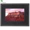 Parrot Photo Viewer 7 inch - Black Buffalo