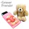 Forever Friends Phone Sock & Bear
