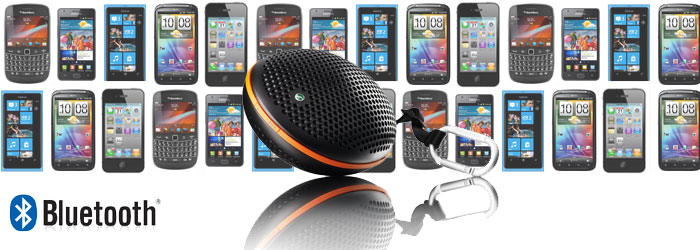 Robust Wireless Bluetooth Speaker