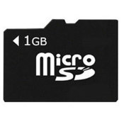 MicroSD Card - 1GB