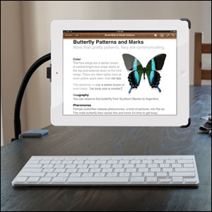 Twelve South HoverBar For iPad 2