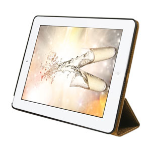 Pinlo Asti Collection for iPad Air - Silver / Gold