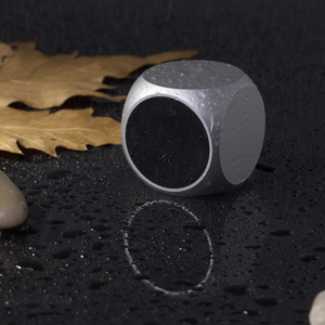 Qube Pocket Speaker -Silver