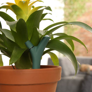Parrot Flower Power Bluetooth Indoor/Outdoor Plant Sensor - Green