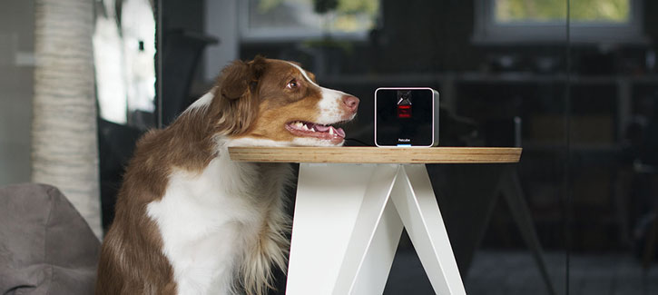 Petcube Interactive Wi-Fi Streaming Pet Camera