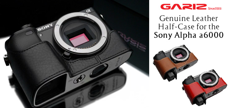 Sony Alpha a6000 Case