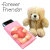 Forever Friends Phone Sock & Bear