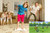 Official Nintendo Wii Fit