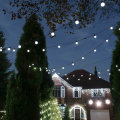 Twinkly Smart  RGB 20 LED  White Festoon Lights With US Adapter