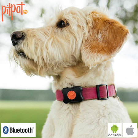 PitPat Wearable Activity Monitor for Dogs