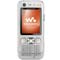 Accessoires Sony Ericsson W890i