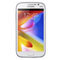 Samsung Galaxy Grand Mobile Data