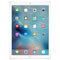 Apple iPad Pro 12.9 inch Displayschutzfolien