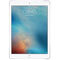 Apple iPad Pro 9.7 inch Nytt och Roligt