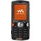 Accessoires Sony Ericsson W810i