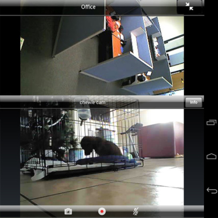 Belkin NetCam WiFi Kamera mit Nachtsichtfunktion