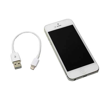 iBoltz XS 12cm Apple Lightning to USB Sync & Charge Extra Short Cable