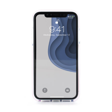 Ted Baker Anti Shock iPhone XR Hüle - Babylon Nickel