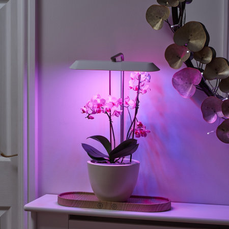Auraglow LED Indoor Hydroponic Plant & Herb Kitchen Grow Light - White