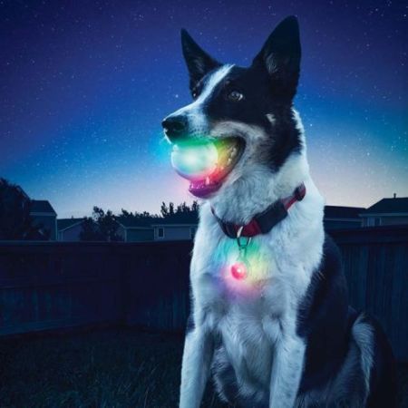 Nite Ize GlowStreak LED Colour Changing Durable Dog Ball