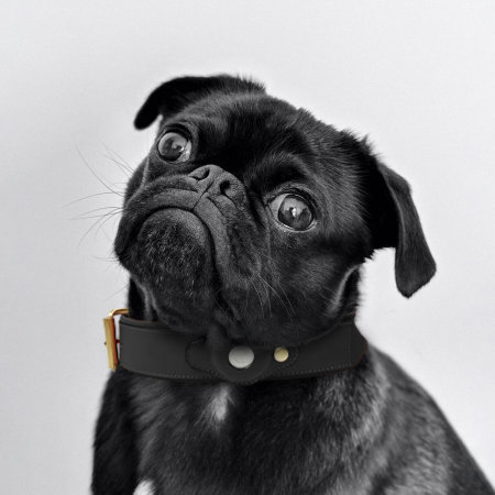 Olixar Genuine Leather Apple AirTags Dog Collar - Extra Small - Black