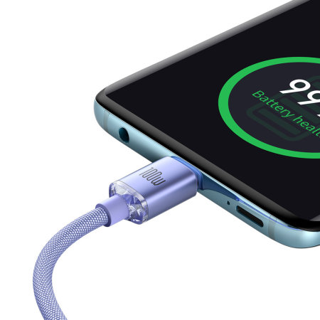 Baseus Purple 1.2m 100W USB-C to USB-C Fast Charging and Data Transfer Cable