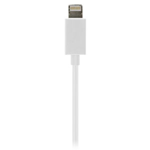 Support voiture Apple iPhone 5 avec chargeur allume cigare