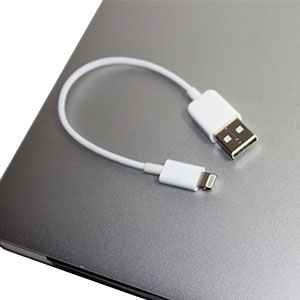 iBoltz XS 12cm Apple Lightning to USB Sync & Charge Extra Short Cable