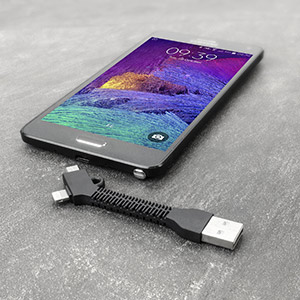 Porte-Clés Charge et Synchronisation Echo Micro USB et Lightning