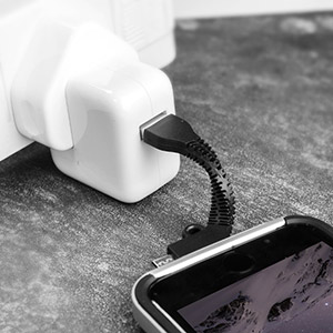 Porte-Clés Charge et Synchronisation Echo Micro USB et Lightning