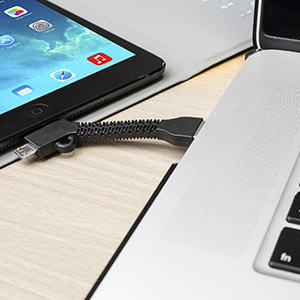 Porte-Clés Charge et Synchronisation Echo Micro USB et Lightning