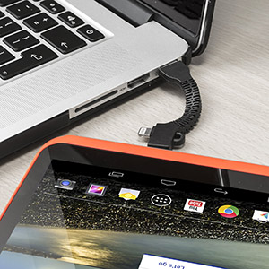 Porte-Clés Charge et Synchronisation Echo Micro USB et Lightning