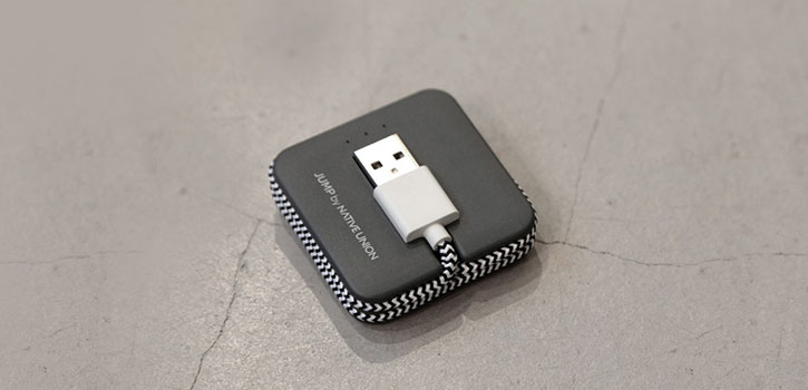 Native Union Jump Lightning Cable - Zebra