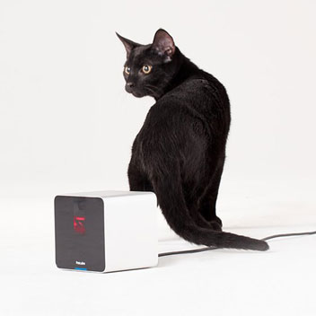 Cámara Wi-Fi para vigilar mascotas Petcube interactiva 