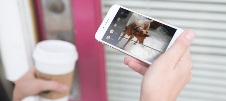 Cámara Wi-Fi para vigilar mascotas Petcube interactiva 