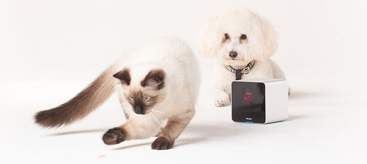Cámara Wi-Fi para vigilar mascotas Petcube interactiva 