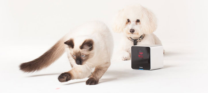 Caméra Petcube Intéractive Wi-Fi Streaming pour Animaux