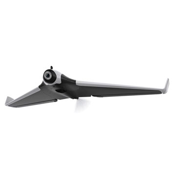 parrot disco 2021