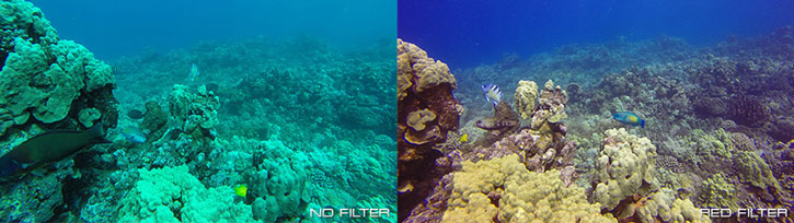 Filtres GoPro PolarPro Above Water – Pack de 3