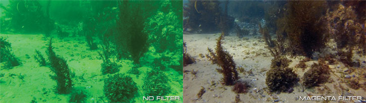PolarPro GoPro Underwater Filter 3 Pack