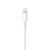 Câble Officiel Apple Lightning vers USB - 1m 5