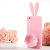 Rabito iPhone 5S / 5 Case- Baby Pink 3