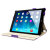 Sophisticase iPad Air Frameless Case - Purple 12